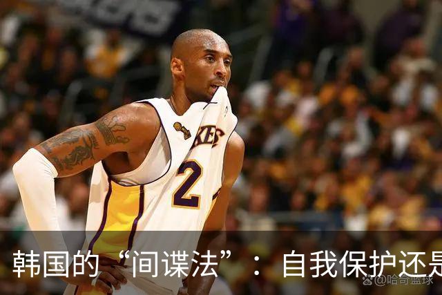 韩国的“间谍法”：自我保护还是逼上梁山？